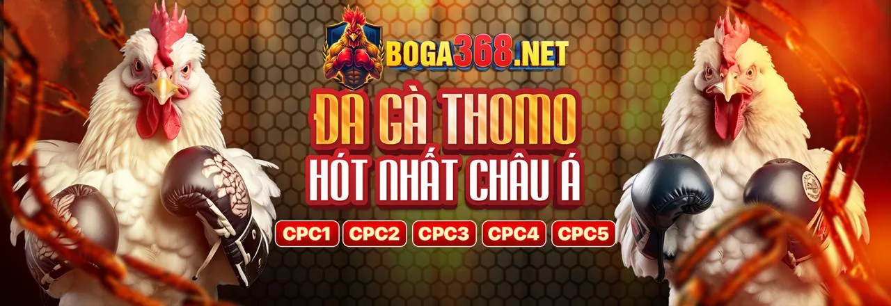 Cá cược bóng đá tại 88ee